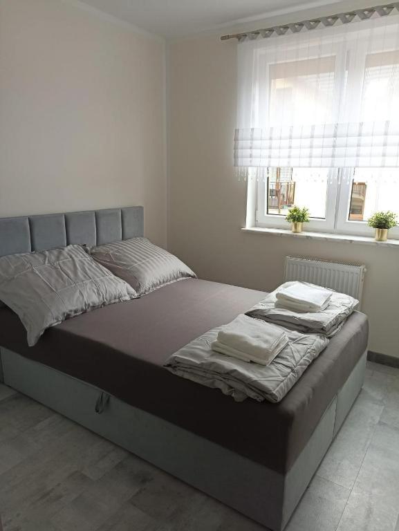 Apartament Brzeg Εξωτερικό φωτογραφία